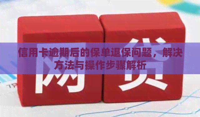 信用卡逾期后的保单退保问题，解决方法与操作步骤解析