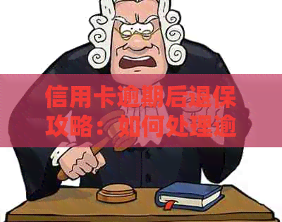 信用卡逾期后退保攻略：如何处理逾期还款并进行保险退保申请