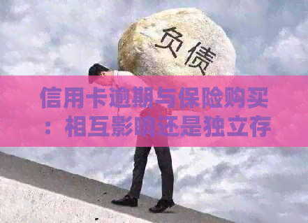 信用卡逾期与保险购买：相互影响还是独立存在的？