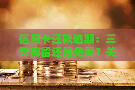 信用卡还款逾期：三天拘留还是免责？关键因素解析