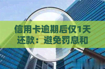 信用卡逾期后仅1天还款：避免罚息和信用损失的关键策略