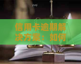 信用卡逾期解决方案：如何应对、修复信用记录及预防逾期再次发生
