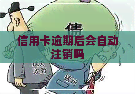 信用卡逾期后会自动注销吗