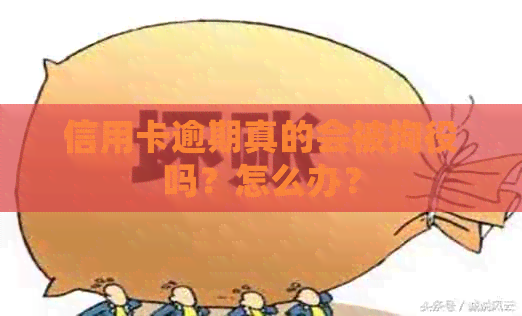 信用卡逾期真的会被拘役吗？怎么办？