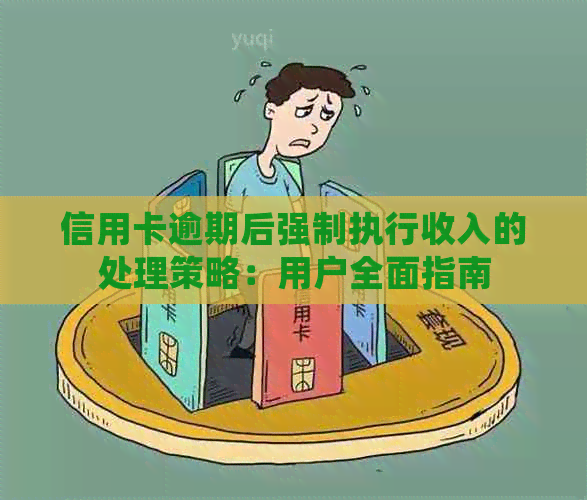 信用卡逾期后强制执行收入的处理策略：用户全面指南