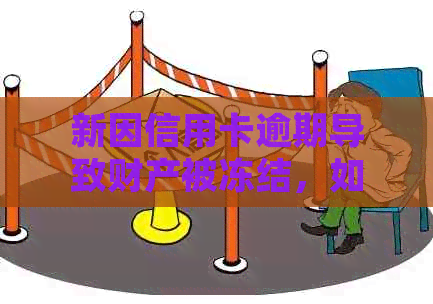 新因信用卡逾期导致财产被冻结，如何解决逾期问题并重新获得信用？