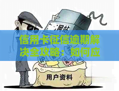 信用卡逾期解决全攻略：如何应对、恢复信用及预防措