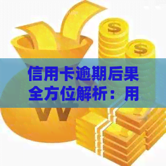 信用卡逾期后果全方位解析：用户可能面临的处罚及如何避免