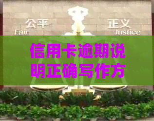 信用卡逾期说明正确写作方法与报告撰写技巧
