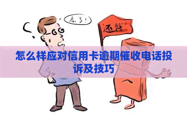 怎么样应对信用卡逾期电话投诉及技巧