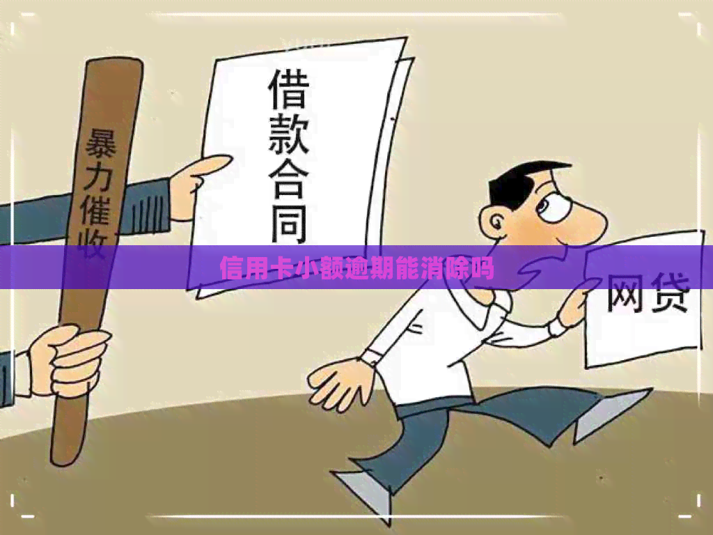 信用卡小额逾期能消除吗