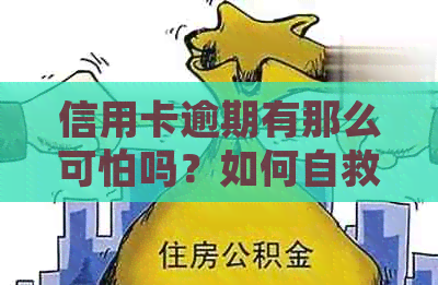 信用卡逾期有那么可怕吗？如何自救和处理2021年逾期情况。