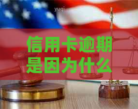 信用卡逾期是因为什么导致的问题