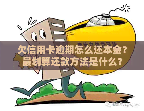 欠信用卡逾期怎么还本金？最划算还款方法是什么？