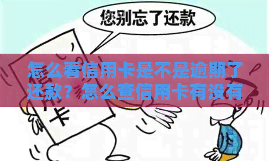 怎么看信用卡是不是逾期了还款？怎么查信用卡有没有逾期上？