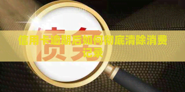 信用卡逾期后如何彻底清除消费记录