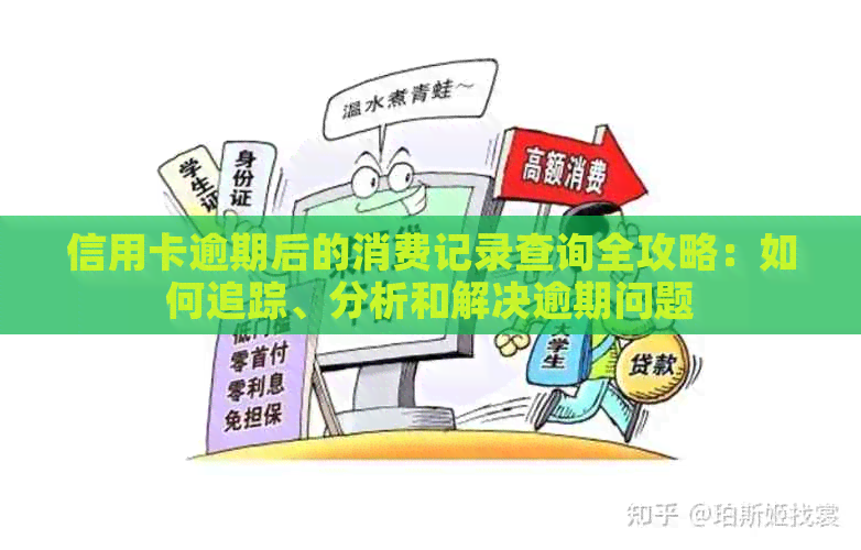 信用卡逾期后的消费记录查询全攻略：如何追踪、分析和解决逾期问题