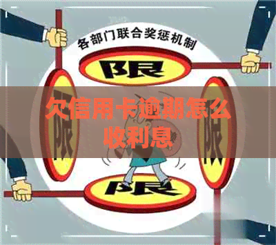 欠信用卡逾期怎么收利息