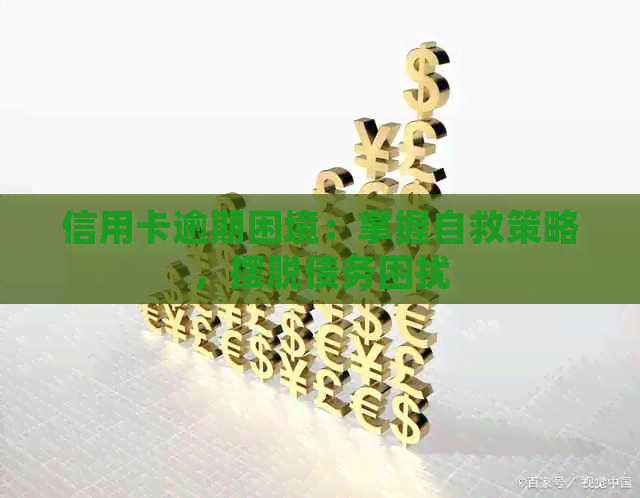信用卡逾期困境：掌握自救策略，摆脱债务困扰