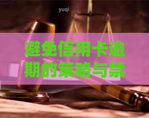 避免信用卡逾期的策略与禁忌：详细指南