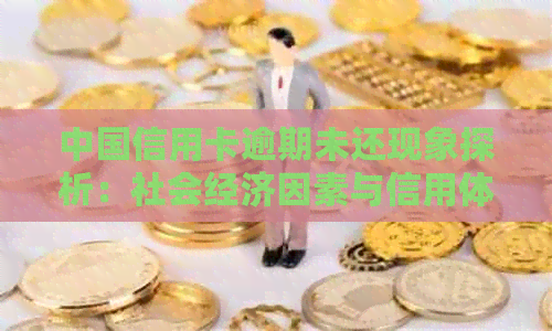 中国信用卡逾期未还现象探析：社会经济因素与信用体系建设的影响
