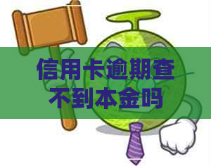 信用卡逾期查不到本金吗