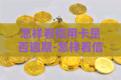 怎样看信用卡是否逾期-怎样看信用卡是否逾期了
