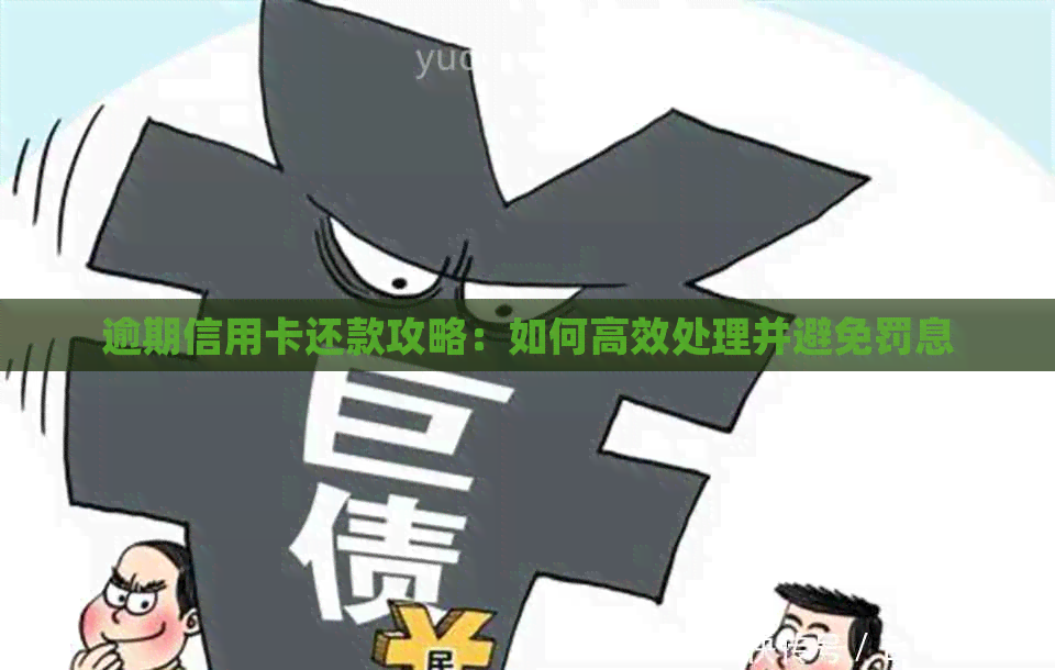 逾期信用卡还款攻略：如何高效处理并避免罚息