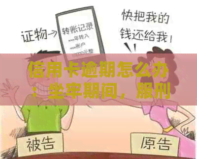 信用卡逾期怎么办：坐牢期间，服刑人员，进去了，被判刑了，服刑期间