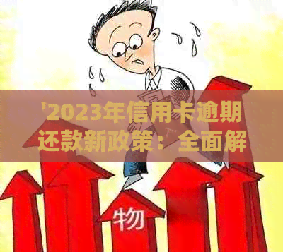'2023年信用卡逾期还款新政策：全面解析、影响与应对策略'
