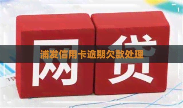 浦发信用卡逾期欠款处理