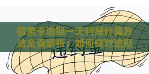 信用卡逾期一天利息计算方法全面解析：如何应对逾期产生的额外费用