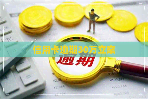信用卡逾期30万立案