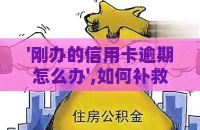 '刚办的信用卡逾期怎么办',如何补救新信用卡逾期问题及后果？