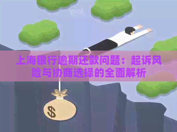 上海银行逾期还款问题：起诉风险与协商选择的全面解析
