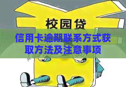 信用卡逾期联系方式获取方法及注意事项