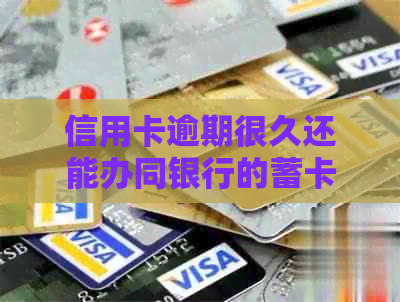 信用卡逾期很久还能办同银行的蓄卡吗？安全吗？逾期的信用卡还能养卡吗？