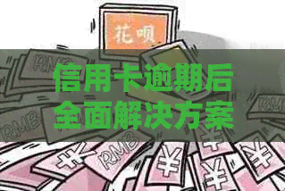 信用卡逾期后全面解决方案：如何避免冻结、恢复信用及处理相关问题