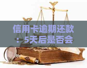信用卡逾期还款：5天后是否会留下不良记录？解答你的疑惑