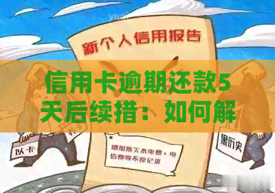 信用卡逾期还款5天后续措：如何解决逾期问题？