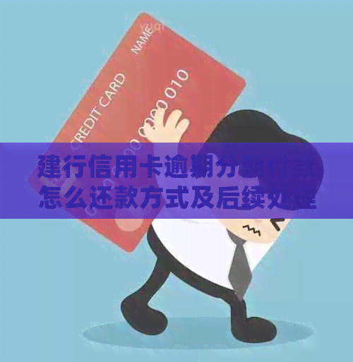 建行信用卡逾期分期付款怎么还款方式及后续处理建议