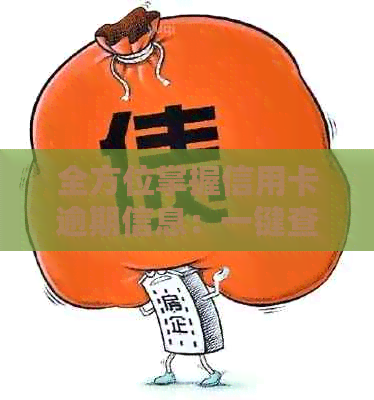 全方位掌握信用卡逾期信息：一键查询、解决方案和预防措详解