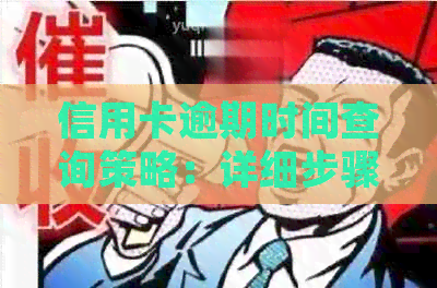 信用卡逾期时间查询策略：详细步骤与注意事项