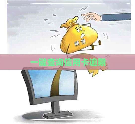 一键查询信用卡逾期