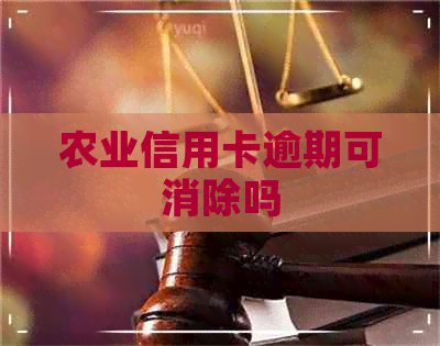 农业信用卡逾期可消除吗