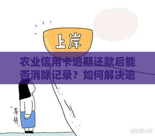 农业信用卡逾期还款后能否消除记录？如何解决逾期问题？