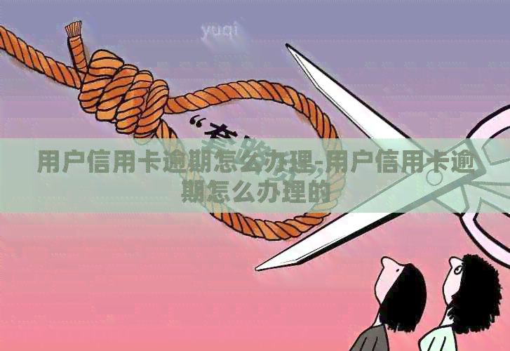 用户信用卡逾期怎么办理-用户信用卡逾期怎么办理的