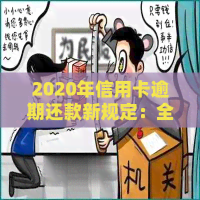 2020年信用卡逾期还款新规定：全面解读减免政策与标准