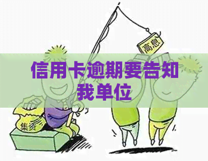信用卡逾期要告知我单位