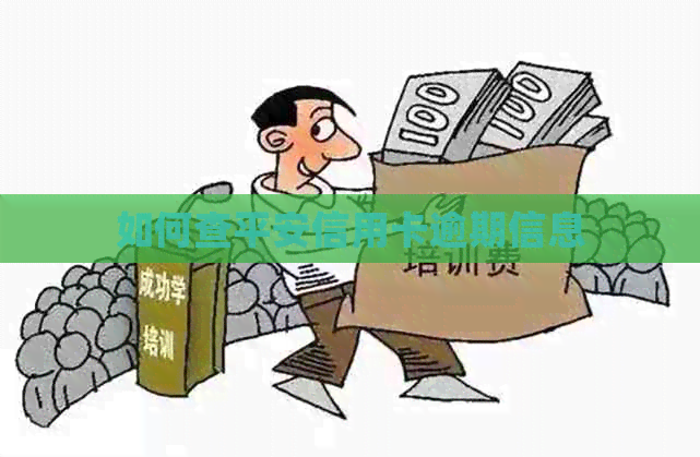 如何查平安信用卡逾期信息